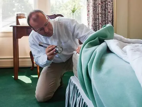 Bed Bug Control Companies